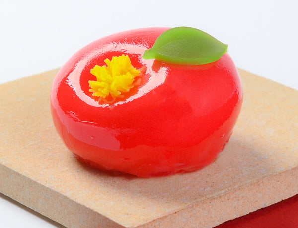 和樂 玉椿 – tamatsubaki–