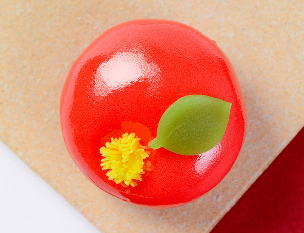 和樂 玉椿 – tamatsubaki–