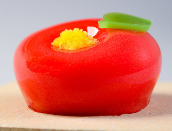 和樂 玉椿 – tamatsubaki–